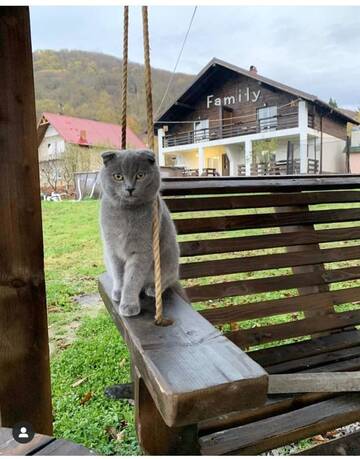 Фото номера Апартаменты с видом на горы Шале Chalet "Family" г. Suskovo 19